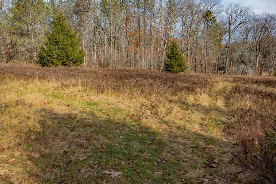 field on the karst trail