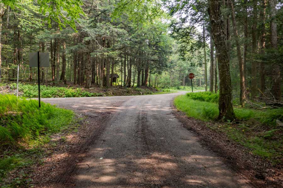 Basily Road ending at Wild Meadow Road and Black Bear Parking Area
