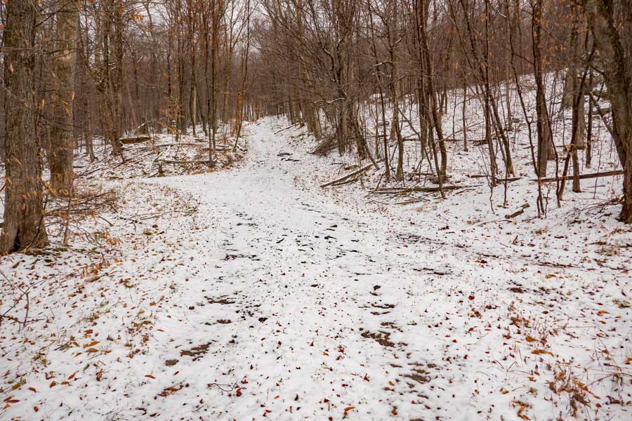 west side of Hodge Pond on the Beech Mountain trail