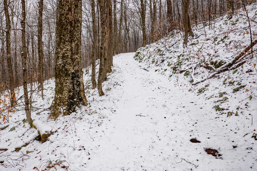 Beech Mountain Road after the Shin Creek Trail