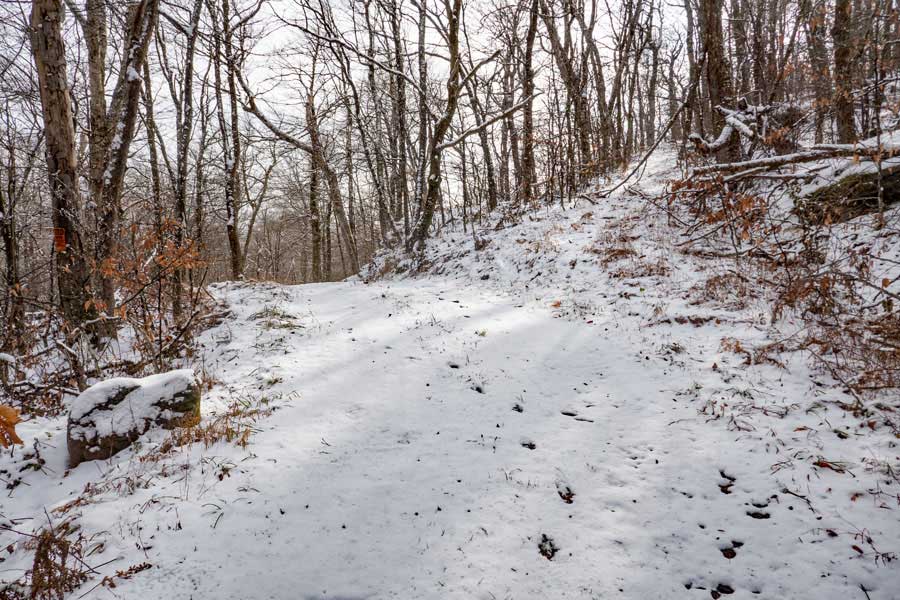 Trail Junction for the Beech Mountain Summit Trail