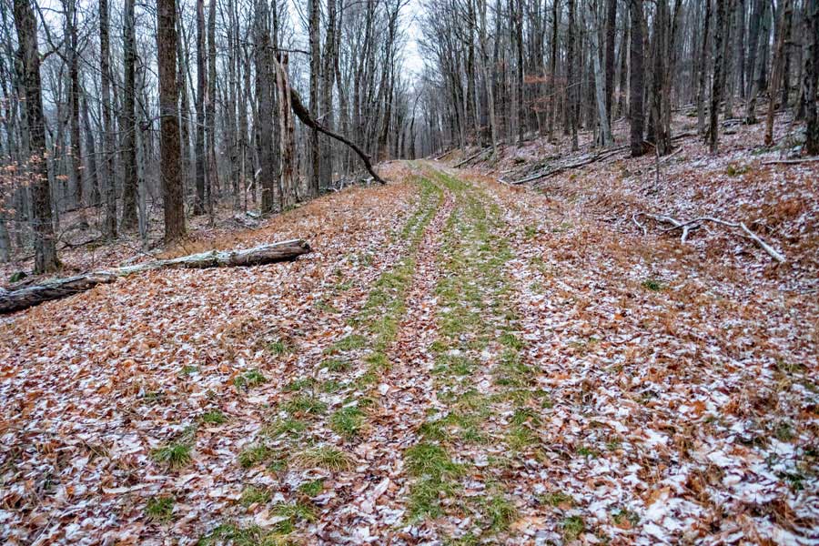 beginning of the Flynn Trail from the Frick Pond Parking Area