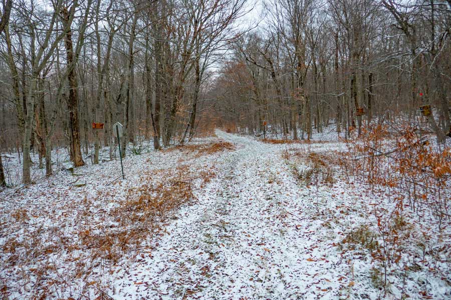Intersection of Big Rock Trail with the Flynn Trail