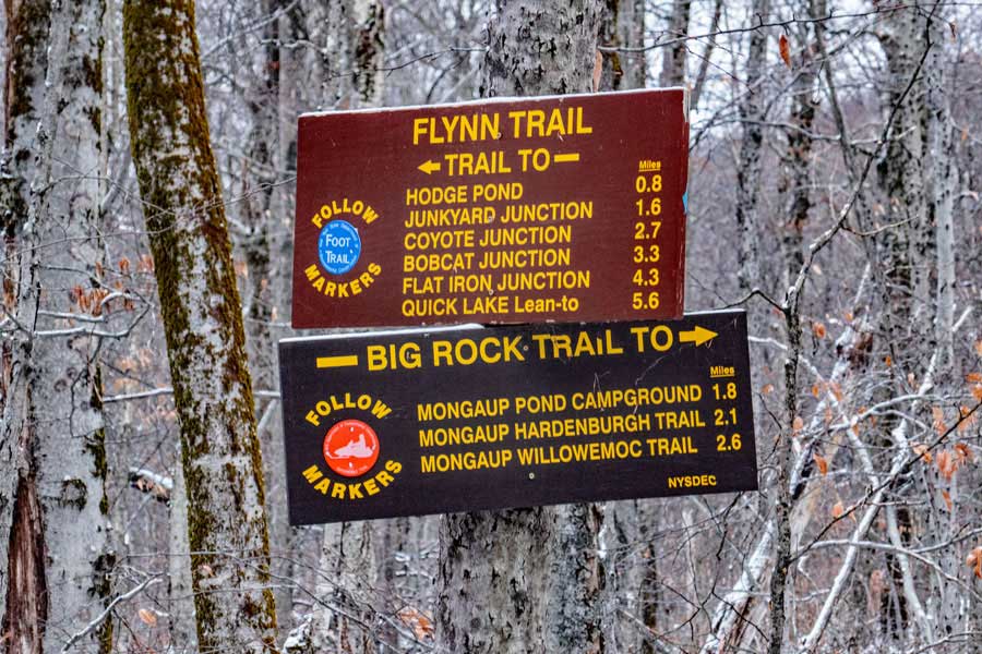 DEC sign at the intersection of the Big Rock Trail and Flynn Trail