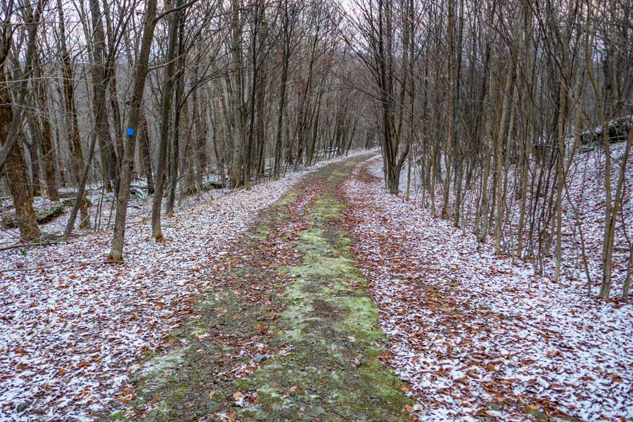 descending down the Flynn Trail to the foot of Hodge Pond