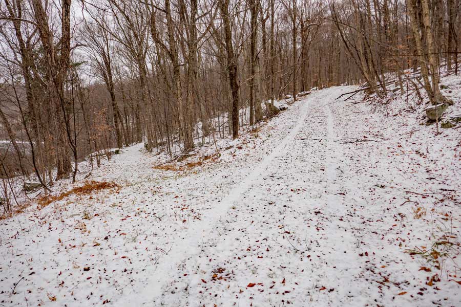 trail junction for the Big Rock Trail that goes on the north side of Frick Pond