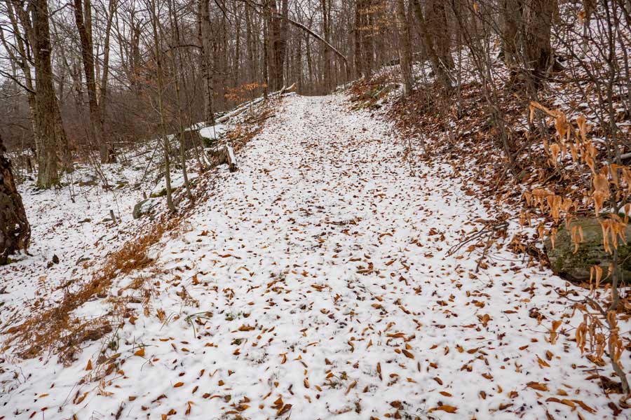 west side of Hodge Pond on the Hodge Pond loop trail