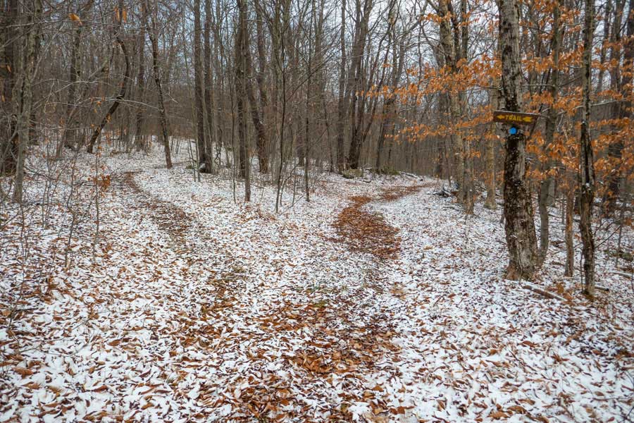 leave the Hodge Pond Loop trail and continue on the Flynn Trail to the west