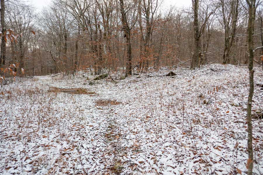 Trail Junction for Junkyard Junction on the Hodge Pond Loop