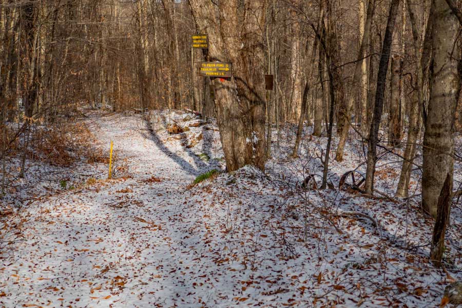 Ironwheel Junction on the Quick Lake Trail