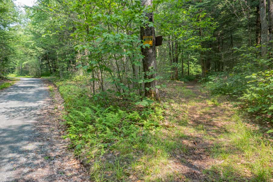 Trailhead for Long Pond Trail off Flugertown Road