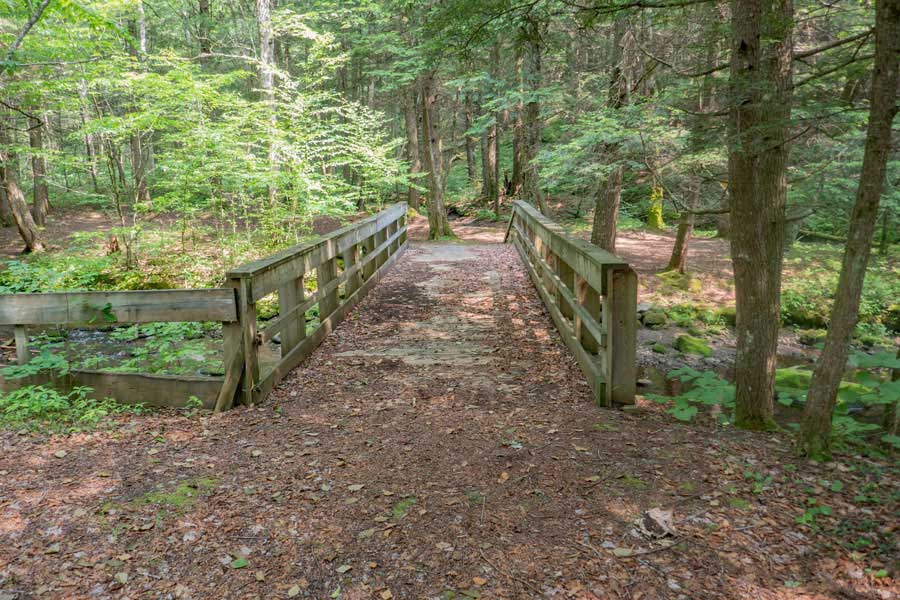 bridge over the Willowemoc Creek on the Long Pond Trail off Flugertown Road