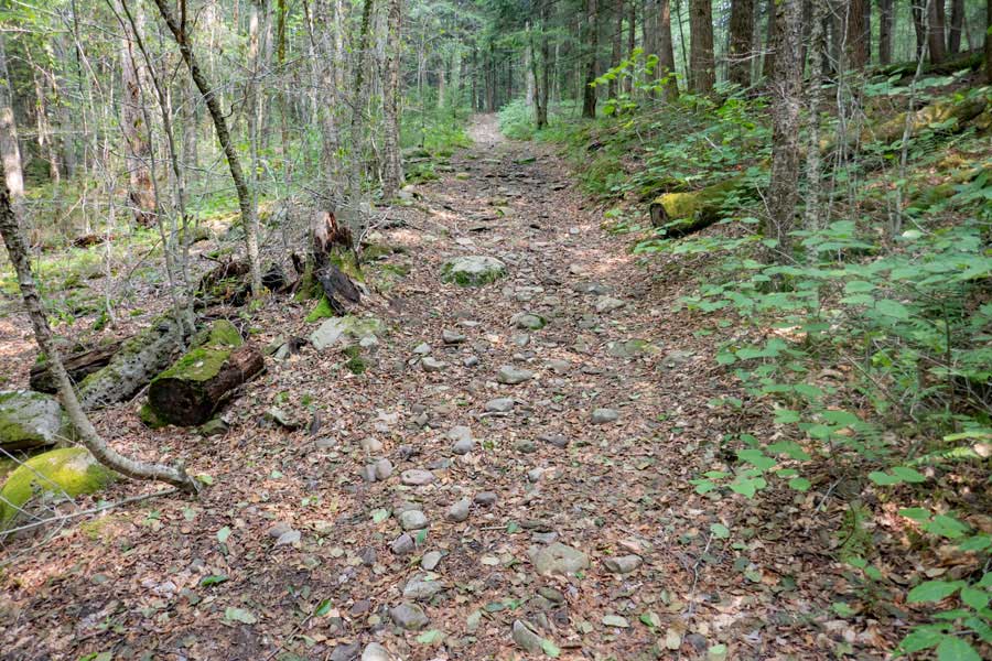 hill after the second bridge over the Willowemoc Creek on the Long Pond Trail off Flugertown Road