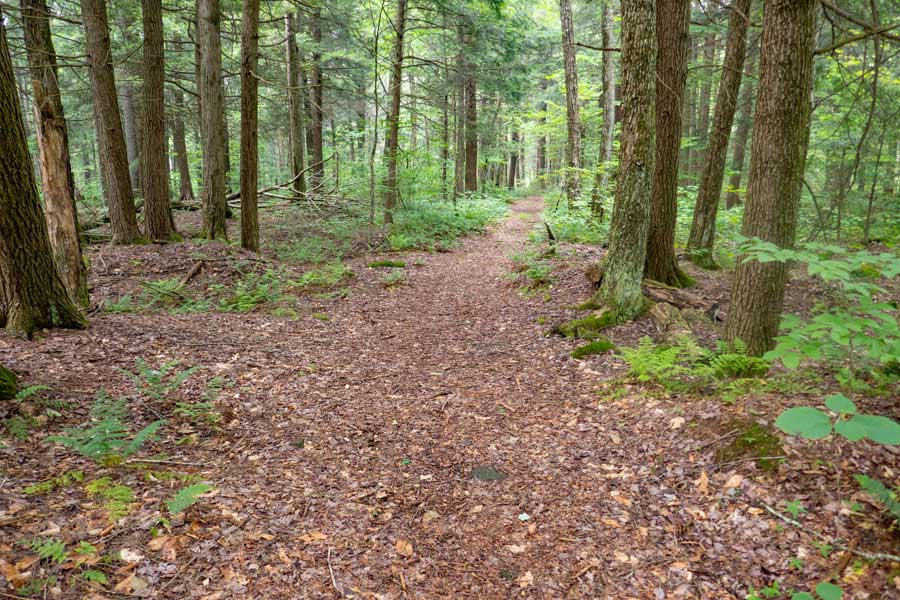 beginning of the Long Pond Trail off Flugertown Road