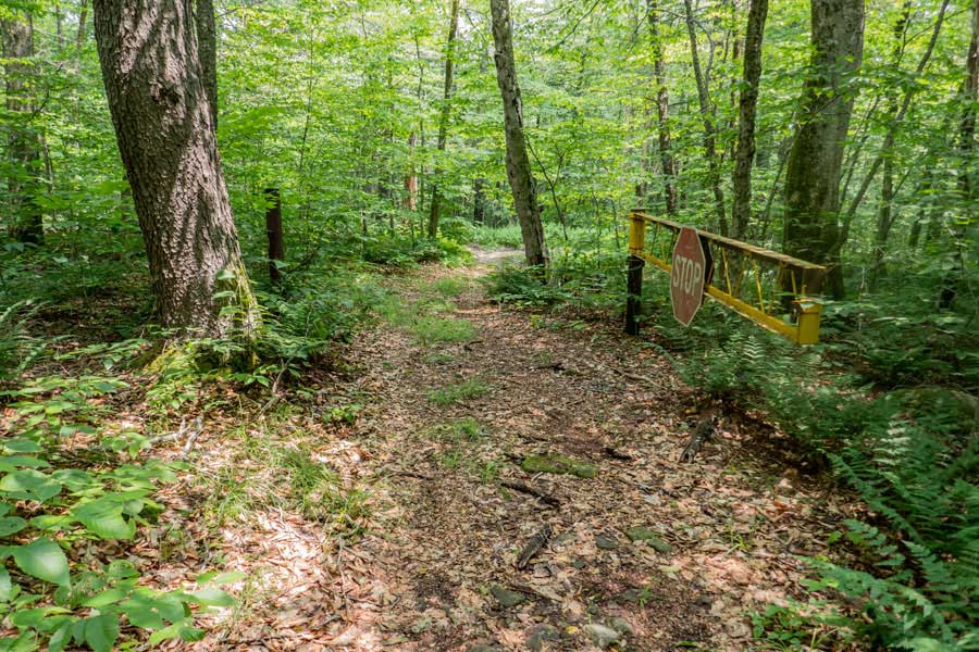 Long Pond Trailhead at Gun Club Road