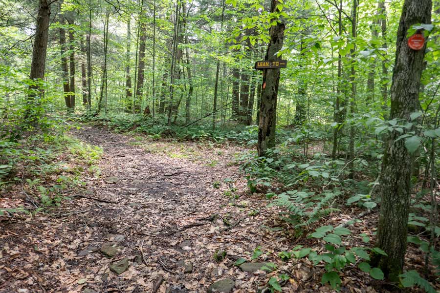 Trail Junction for the Long Pond Lean-to Trail