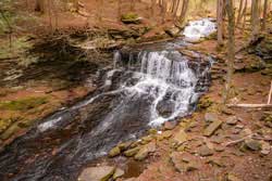 mongaup falls