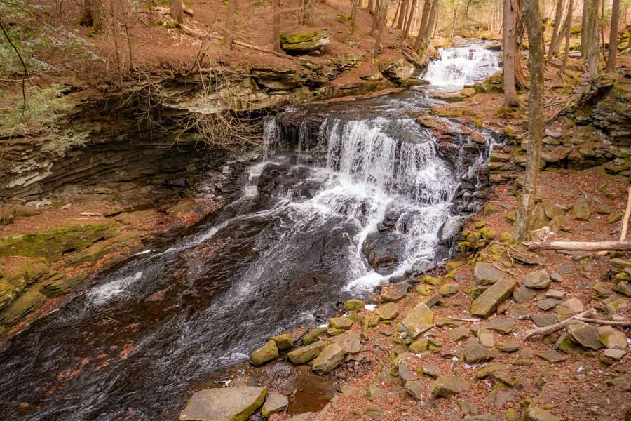 Mongaup Falls