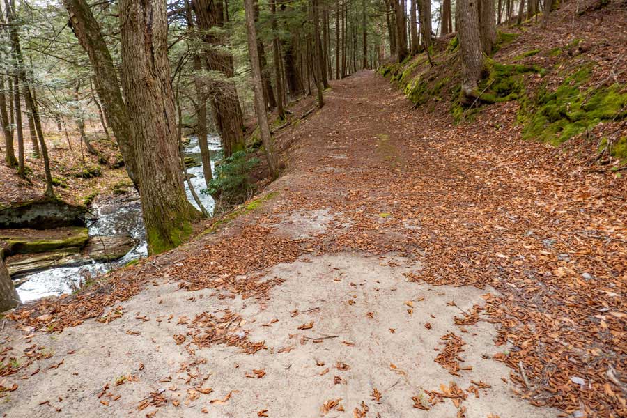 road next to Mongaup Creek