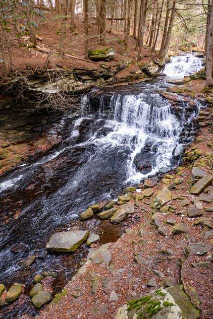 Mongaup Falls