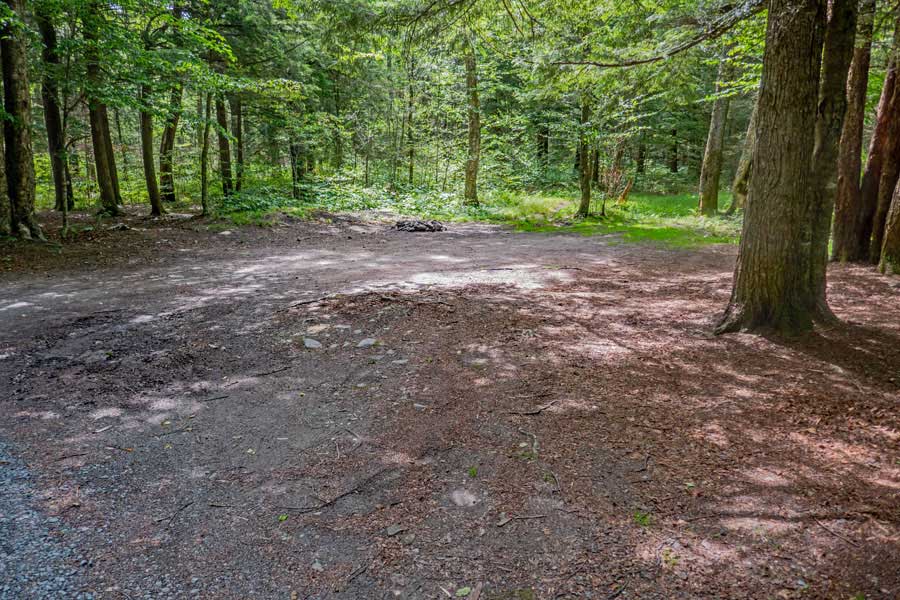 campsites along Flugertown Road in the Willowemoc Wild Forest