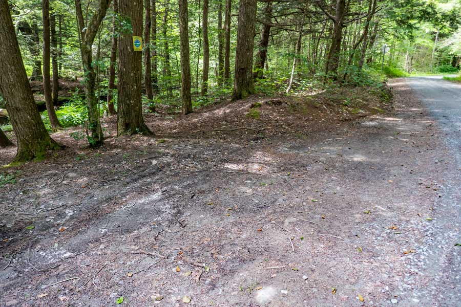 beginning of the one-lane dirt section of Flugertown Road