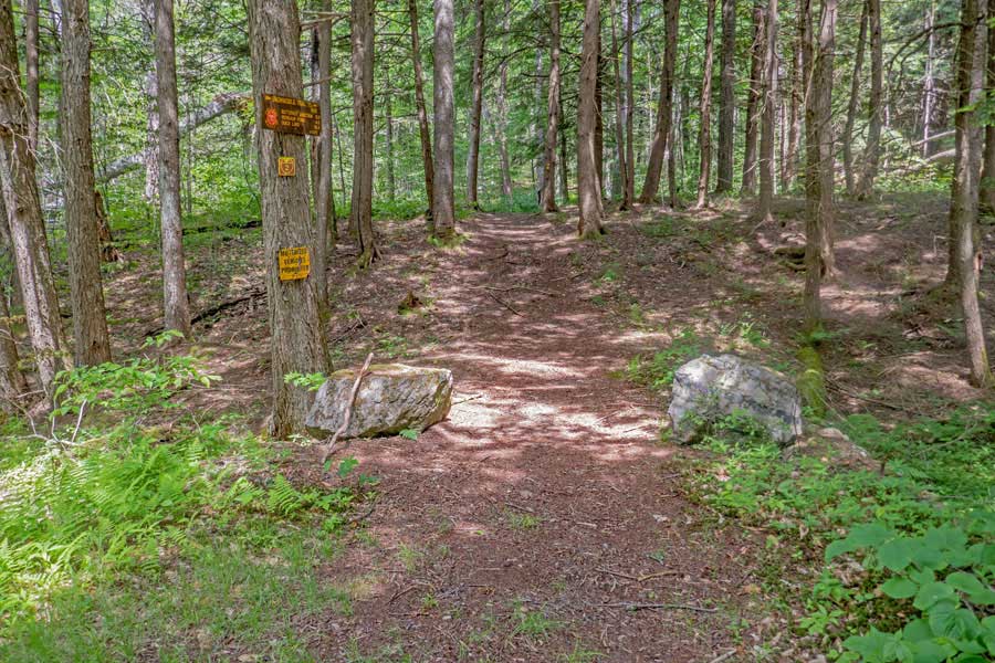trailyead for the Mongaup Loop Trail