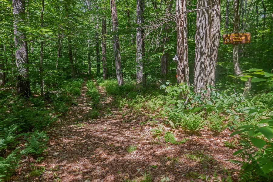 Long Pond - Beaver Kill Ridge Trail from leaves the Mongaup-Willowemoc Trail at the trail junction