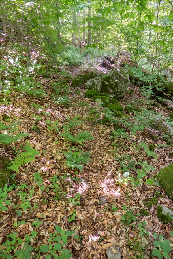 base of Sand Pond Mountain