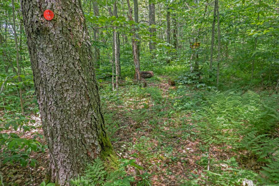 Trail junction to Mongaup-Hardenburg Mountain on the Sand Poind Mountain