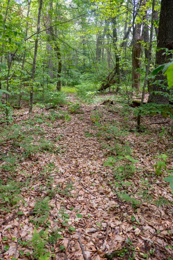 beginning of the Mongaup-Hardenburg Trail