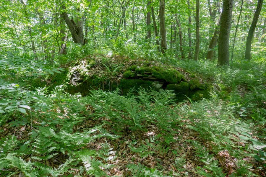 West Sand Pond Mountain Summit