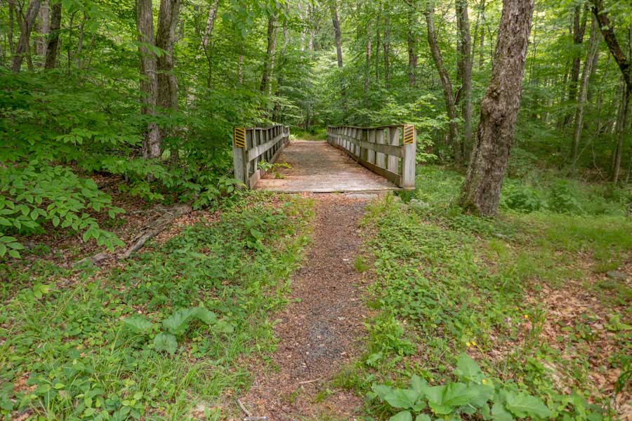 bridge #1 in the Mongaup Pond Campgrounds from the Mongaup-Hardenburgh Trail