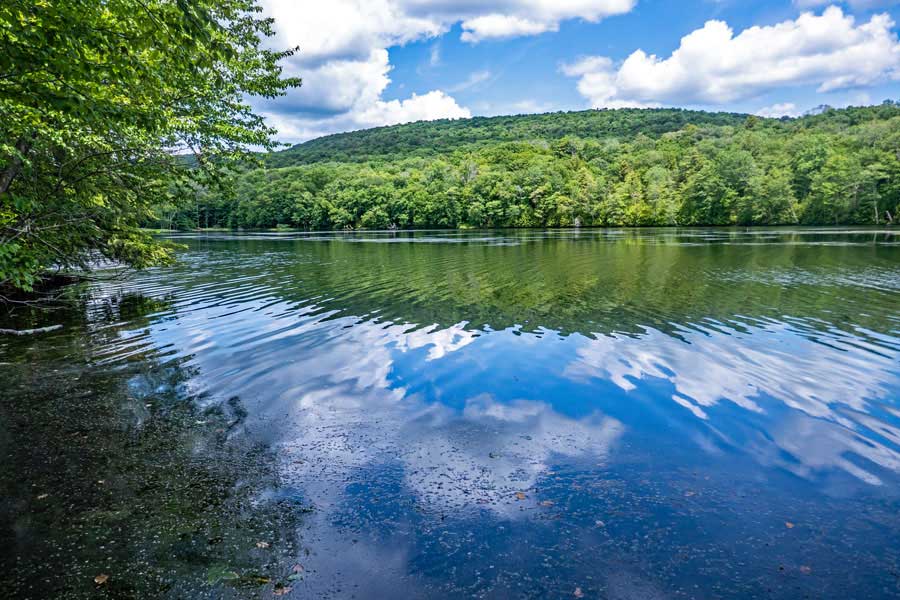 Mongaup Upper Pond off the Mongaup Loop Trail