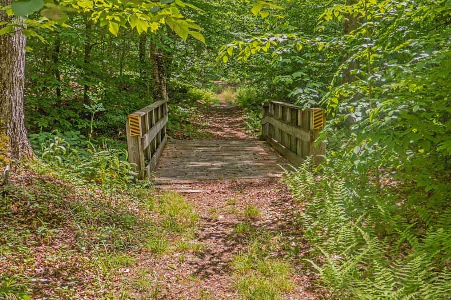 bridge #2 in the Mongaup Pond Campgrounds from the Mongaup-Hardenburgh Trail