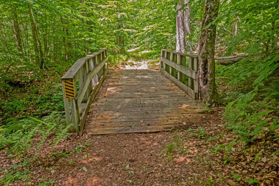 bridge #3 in the Mongaup Pond Campgrounds from the Mongaup-Hardenburgh Trail