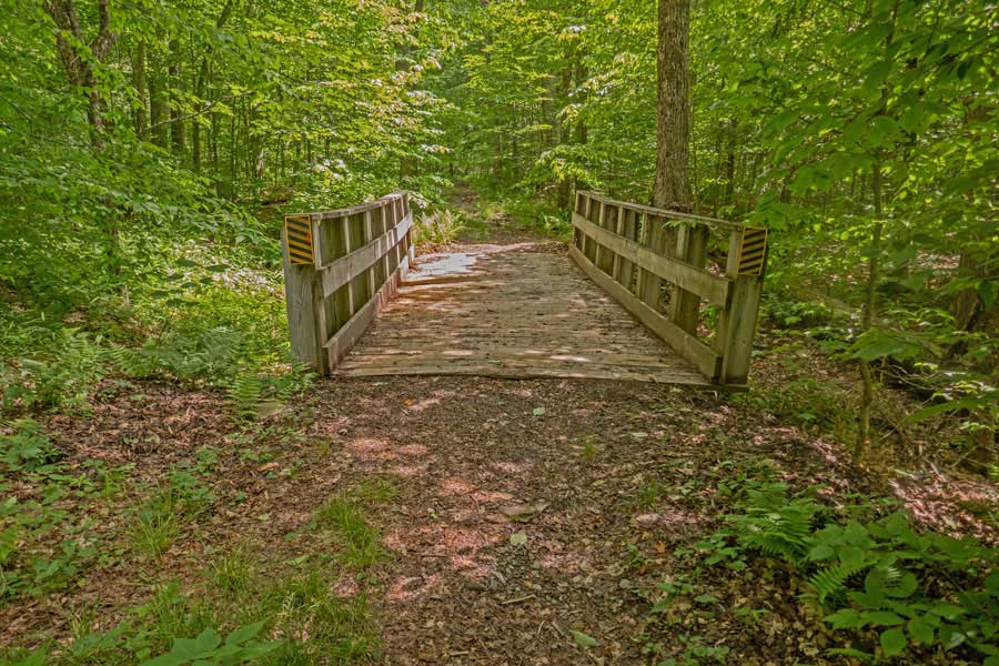 bridge #4 in the Mongaup Pond Campgrounds from the Mongaup-Hardenburgh Trail