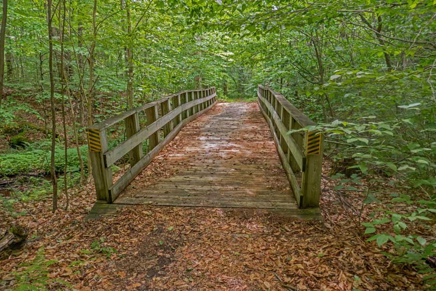 bridge #5 in the Mongaup Pond Campgrounds from the Mongaup-Hardenburgh Trail