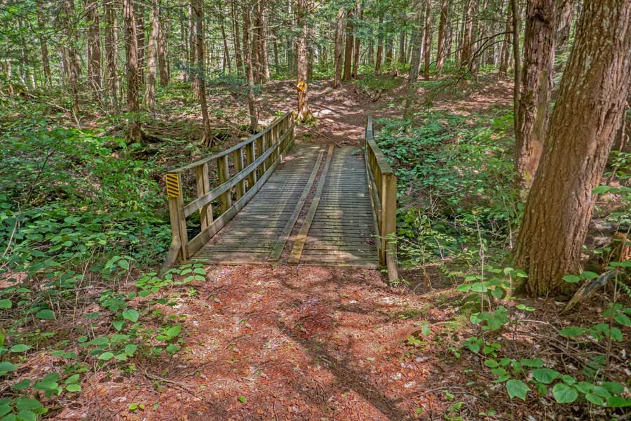 bridge on the Mongaup-Willowemoc Trail over the butternut brook