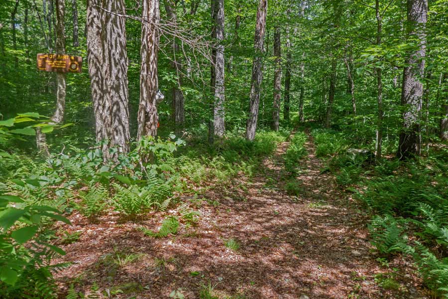 Trial Junction for Mongaup-Willowemoc Trail and the Long Pond - Beaver Kill Ridge Trail