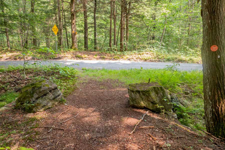 Trailhead for Mongaup-Willowemoc Trail off Flugertown Road