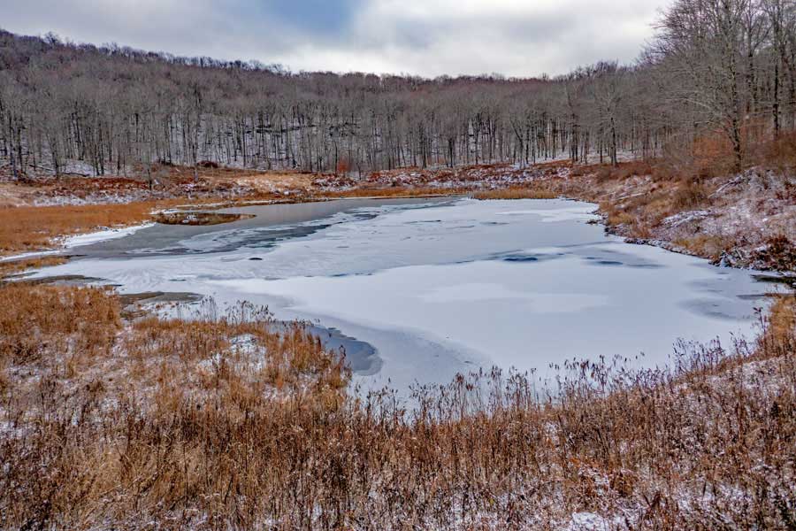 Quick Lake in the Willowemoc Wild Forest