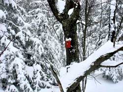 hiker injured on Sherrill Mountain on December 19, 2020