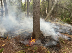 forest fire on summit of Rocky mountain  on September 3, 2025