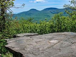 On April 27, 2026 a hiker had an allergic reaction to tree nuts while hiking to Wittenberg Mountain in the Catskill Mountains.