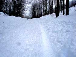 hiker rescued in deep snow on the Indian head Wilderness