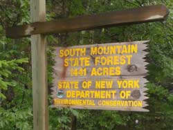 DEC strips forest of timber on South Mountain and Pisgah Mountain