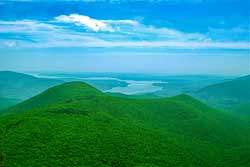On April 27, 2026 a hiker had an allergic reaction to tree nuts while hiking to Wittenberg Mountain in the Catskill Mountains.