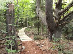 new mountain bike trail in windham opened this weekend, september 15, 2017